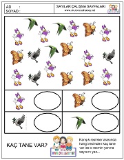 okul öncesi sayılar çalışma sayfaları